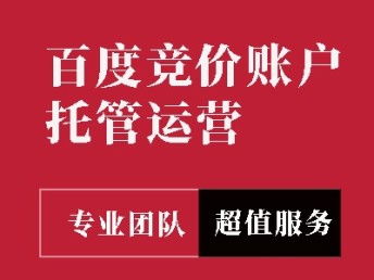 图 企业网站建设 网络推广 代运营等服务 北京网站建设推广